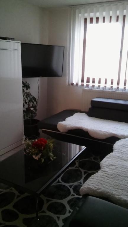 利普托斯基米库拉斯Apartment Alta的客厅设有玻璃桌和窗户