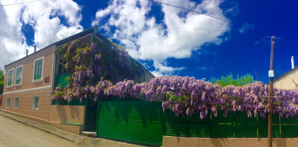 泰拉维纳塔利旅馆的一座花朵紫色的建筑