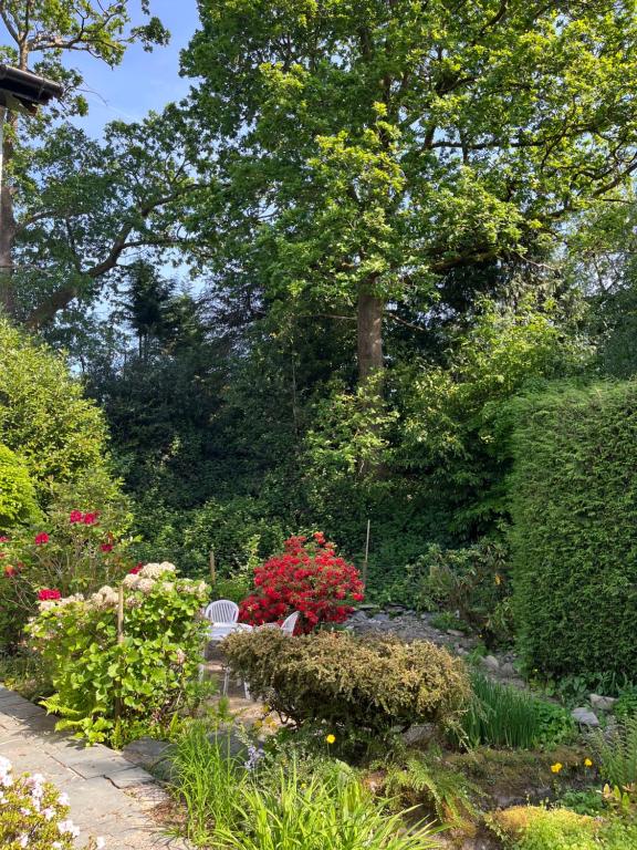 The Shades - Bliss In The Heart of Windermere外面的花园