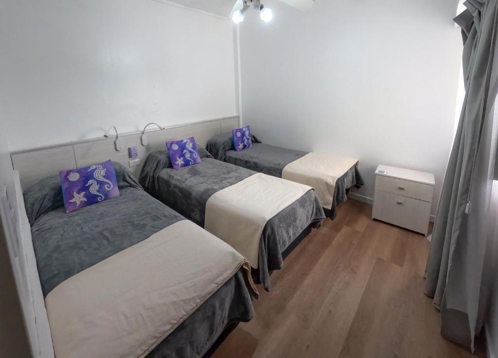 圣克莱门特雷图尤Hotel Solmar的客房配有3张带紫色枕头的床