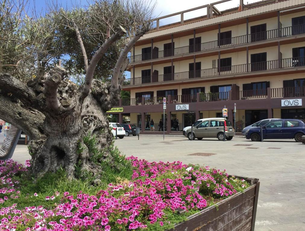 阿尔盖罗苏利斯住宿加早餐旅馆的建筑物前花床上的树