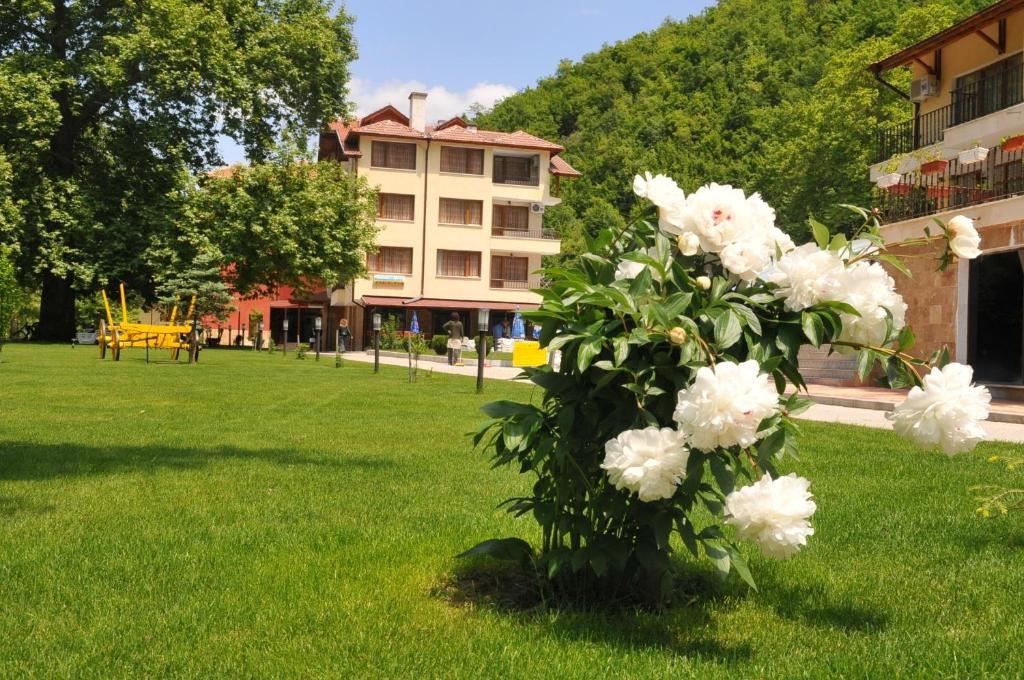 奥格尼亚诺沃Family Hotel Delta的花束,花束,坐在草上