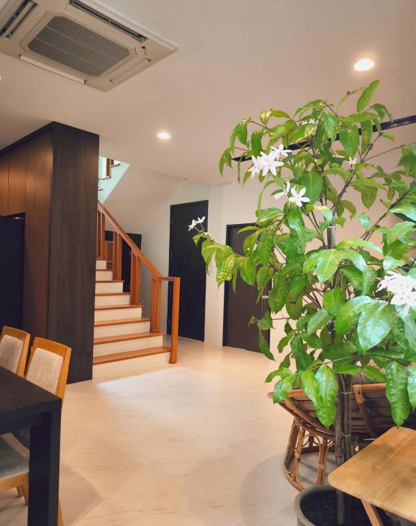 Studio Sukumvit 29平面图