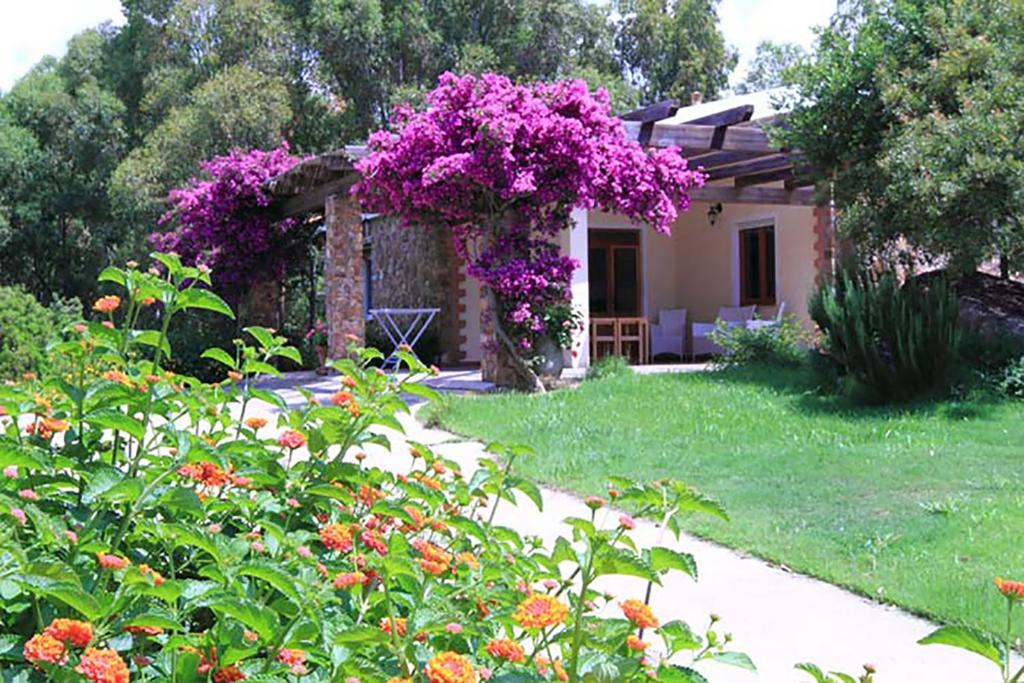特乌拉达House Suestellas的一座花园,花园内有一座紫色花卉的房子