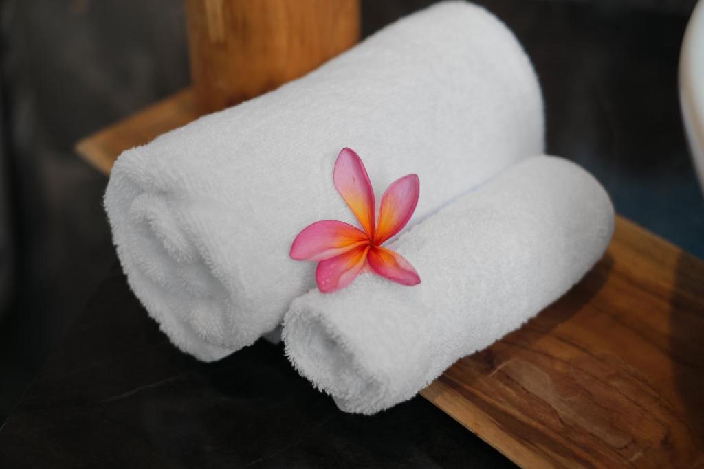 Luxury Nanda villa Ubud平面图