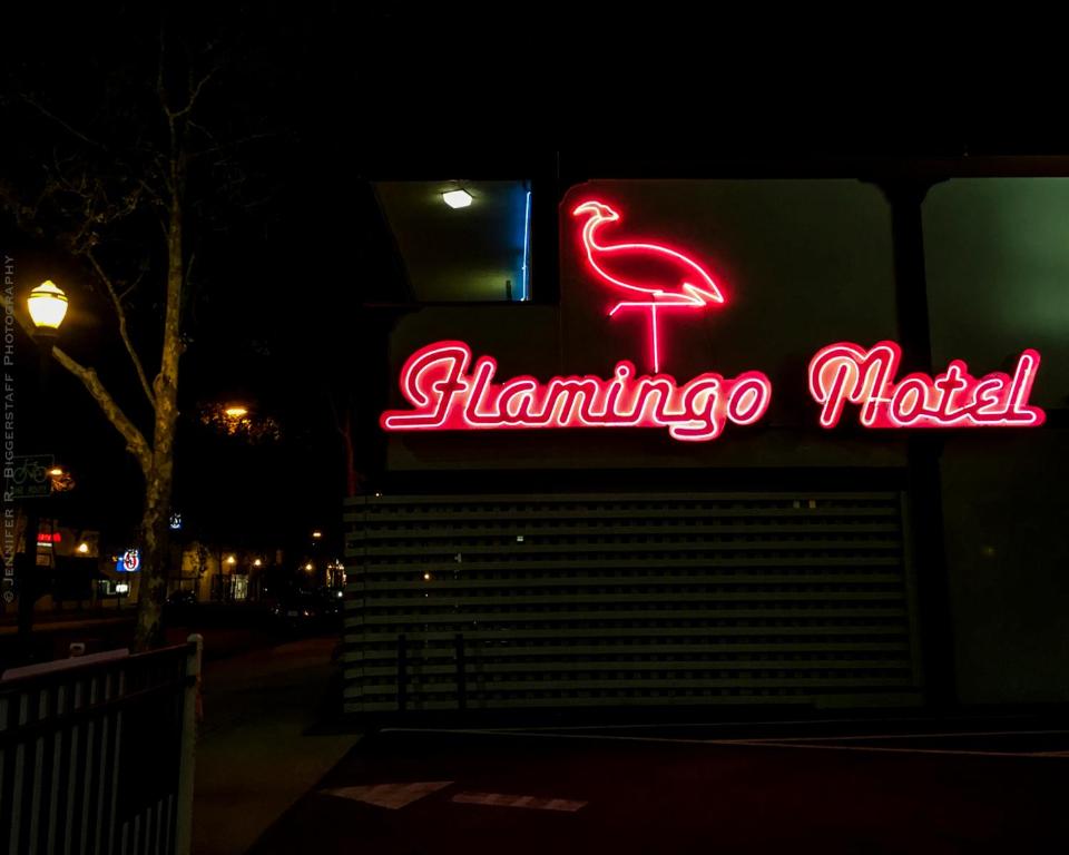 圣何塞The Flamingo Motel San Jose的夜间火烈鸟汽车旅馆的 ⁇ 虹灯标志