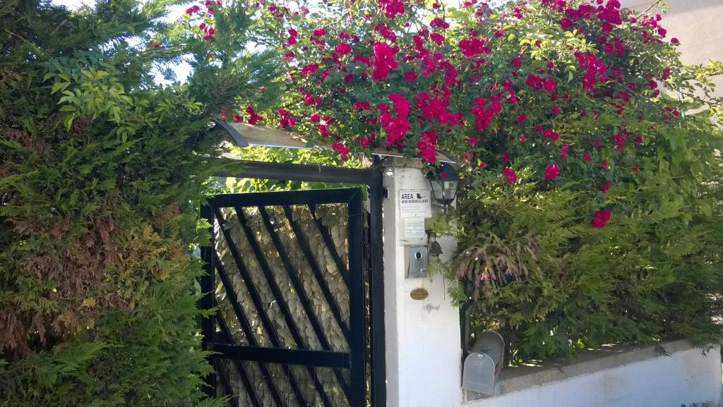 布林迪西B&B Mare E Sole的墙上挂着粉红色花的黑色门