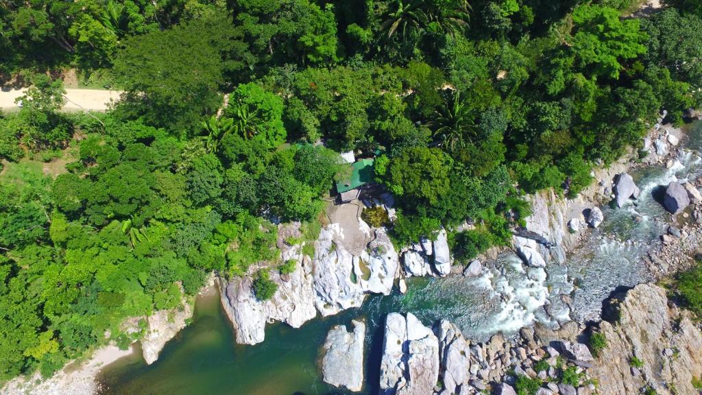 拉塞瓦Jungle River Lodge的相册照片