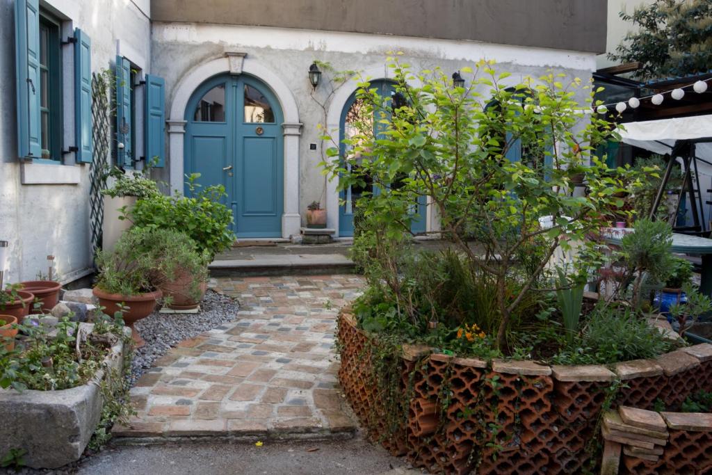 塞扎纳Studio Doroteja的一座带蓝色门和一些植物的房子