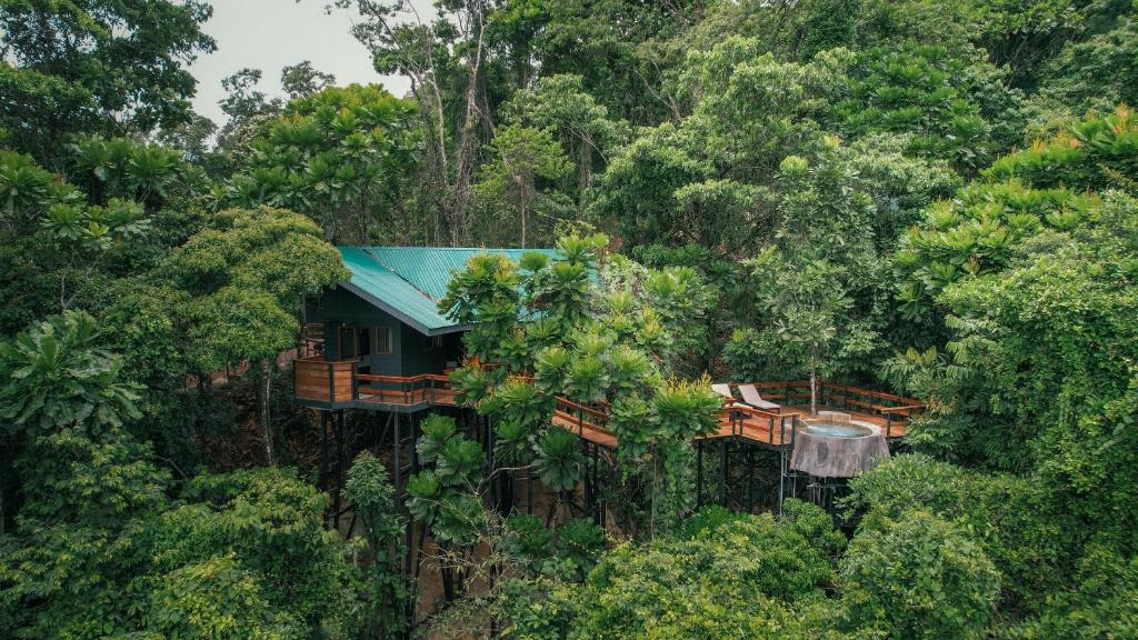福尔图纳Chachagua Rainforest Hotel &amp; Hot Springs的森林中的一个树屋