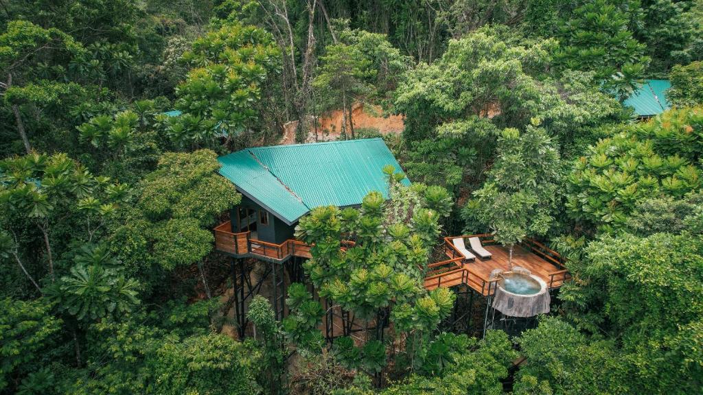 福尔图纳Chachagua Rainforest Hotel &amp; Hot Springs的森林中树屋的顶部景色