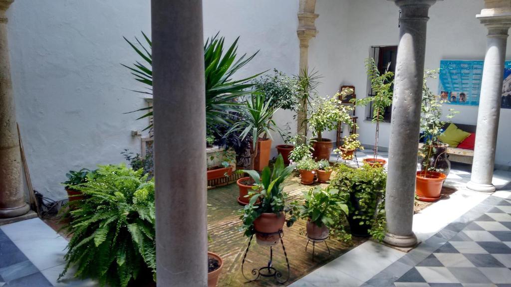 圣玛丽亚港卡萨得瑞多酒店的充满了许多盆栽植物的房间