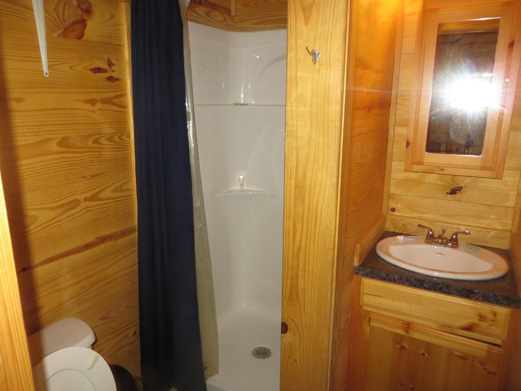 StockdaleAll Tucked Inn Cabins的带淋浴、盥洗盆和卫生间的浴室
