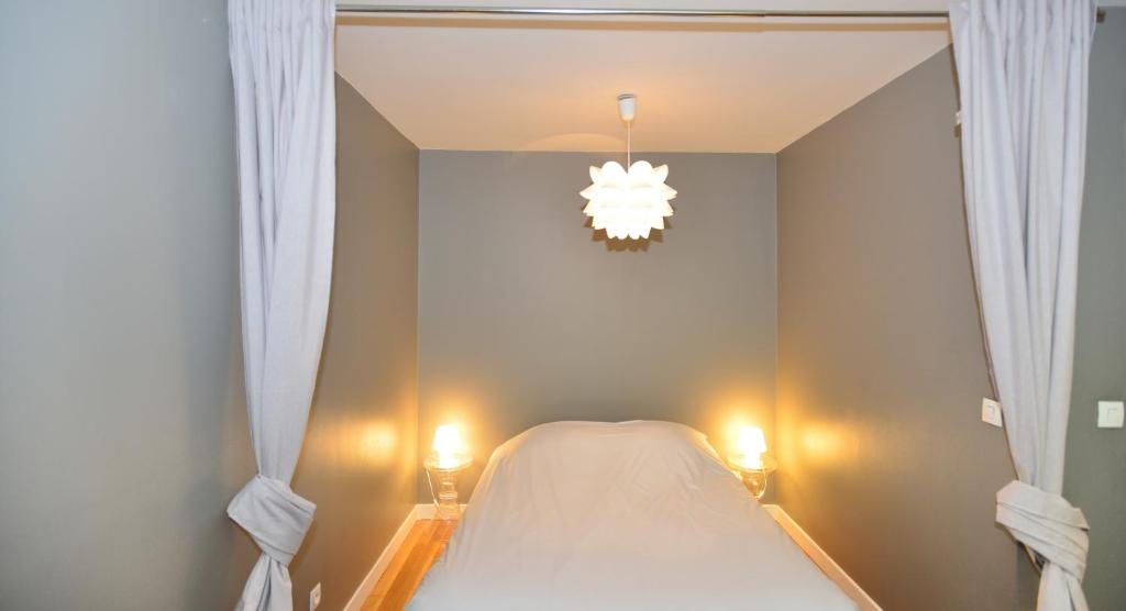 里昂Appart' Mazenod的一间卧室配有一张带窗帘和吊灯的床。