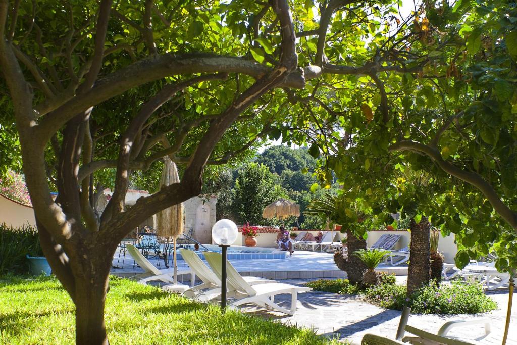 伊斯基亚Resort Villa Flavio的一个带躺椅的庭院和一棵树