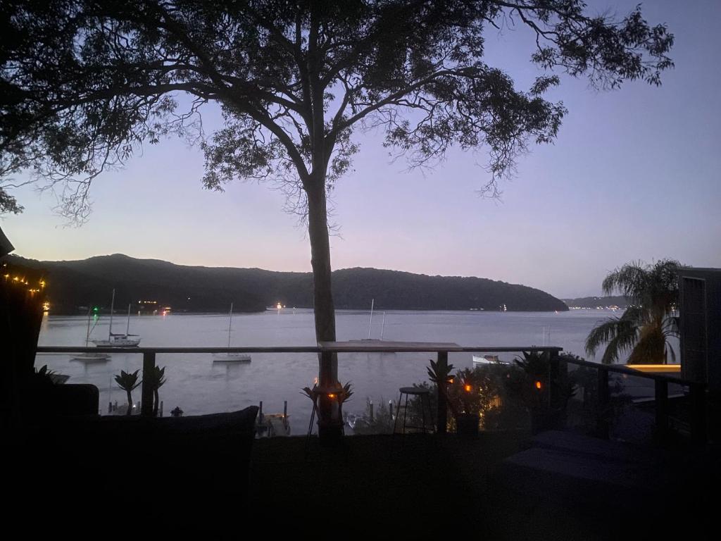 Scotland IslandIsland Paradise - Private Waterfront Retreat的前景湖景间 - 前方有棵树