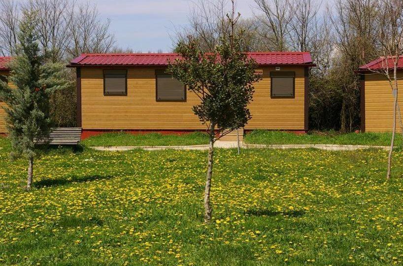 ArlanzónBungalows Granja Escuela Arlanzón的草场上一棵树的黄色房子