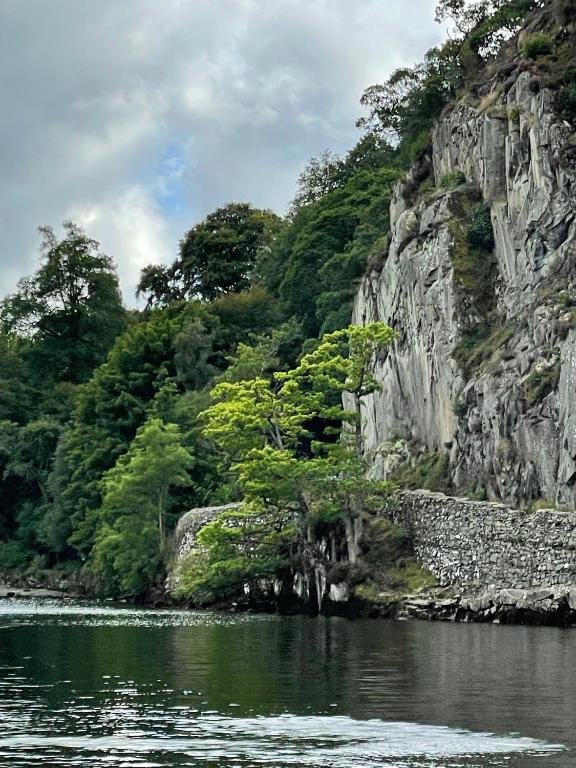 温德米尔Ramblers Retreat Windermere的山边水中的一棵树