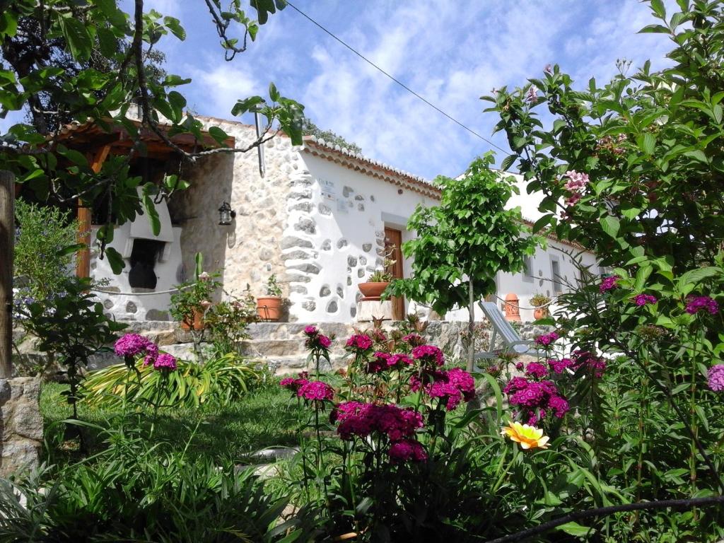 蒙希克Quinta do Tempo Turismo Rural的花房前的花园