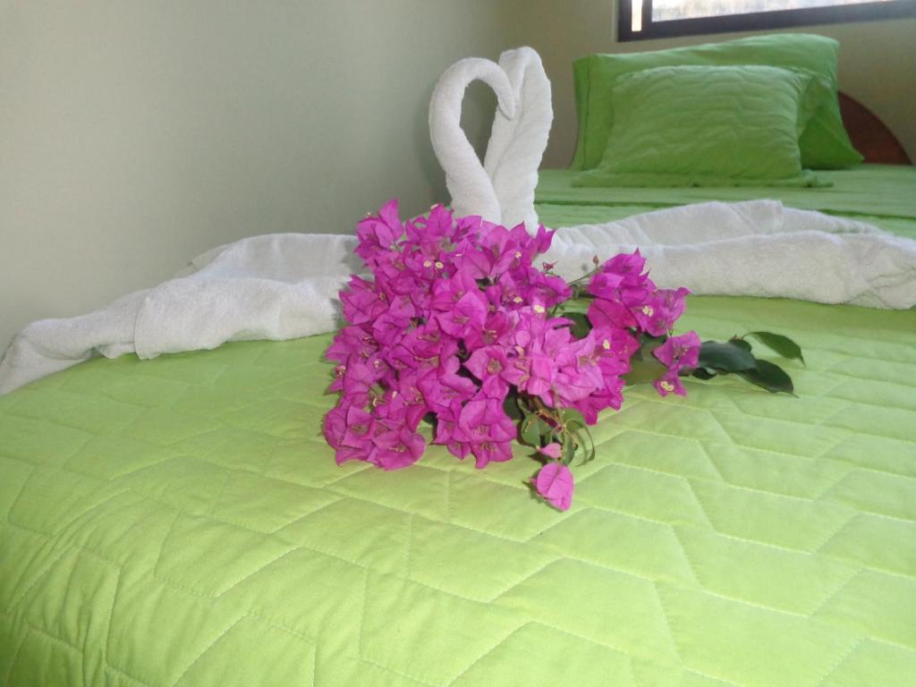 阿约拉港Hostal Casa Cascada的床上一束粉红色的鲜花