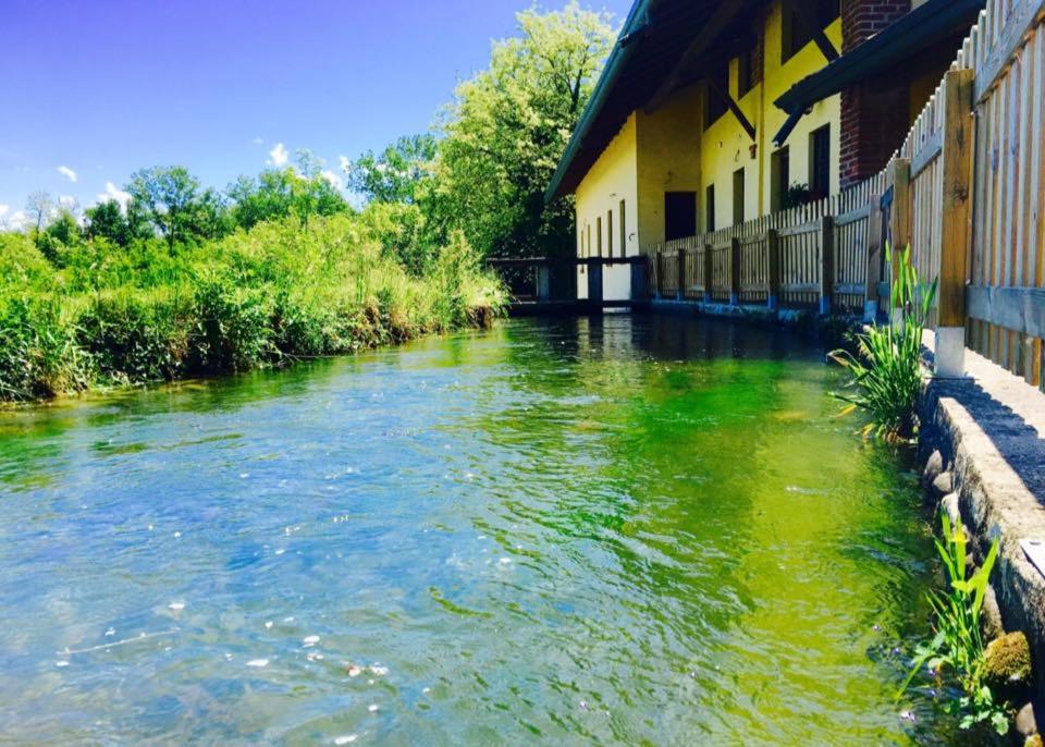 奥莱焦向日葵农家乐的河水在绿色的建筑前