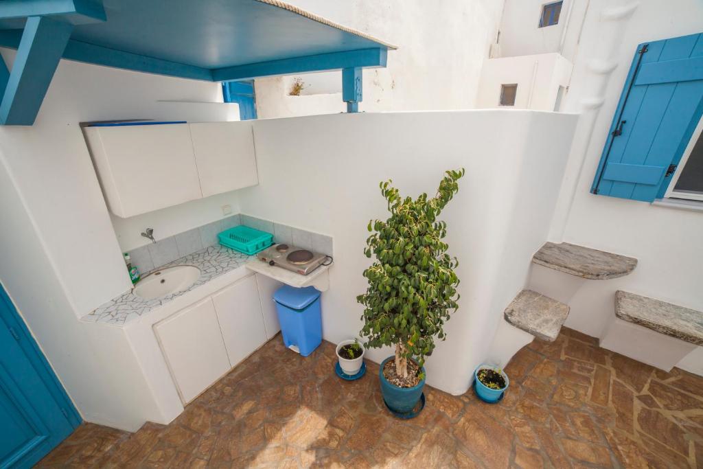 卡塔波拉Casaprimavera的享有带水槽和植物的浴室的顶部景致