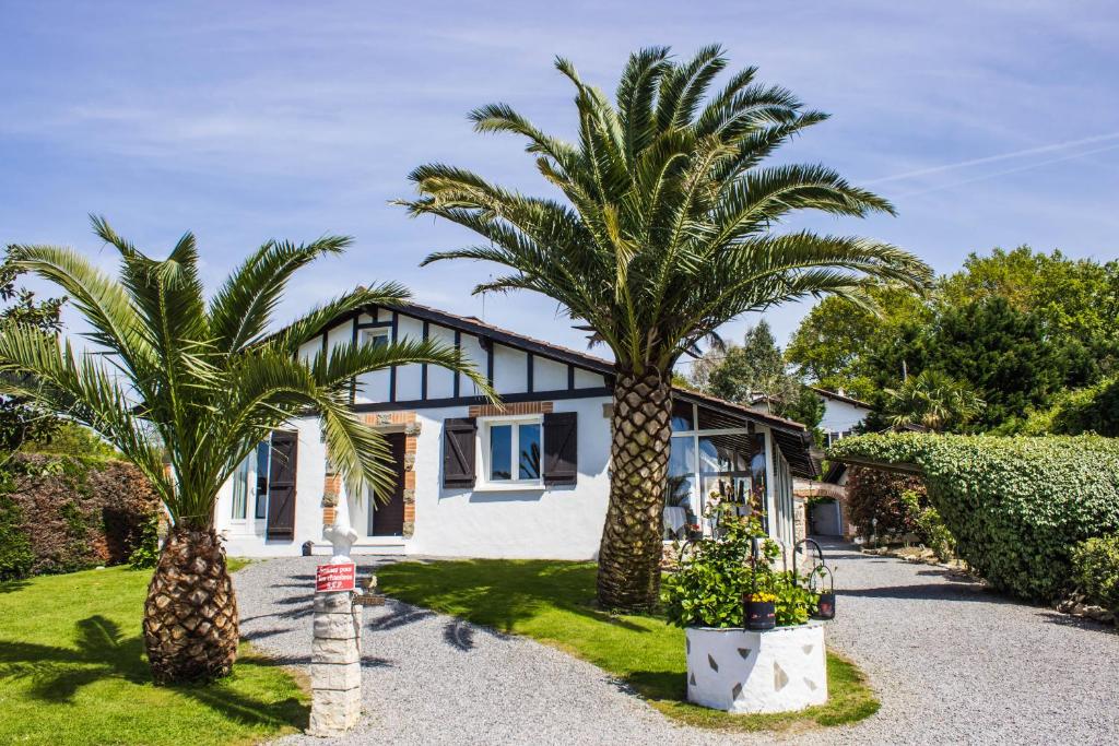圣让-德吕兹Villa Yoda的两棵棕榈树在房子前面