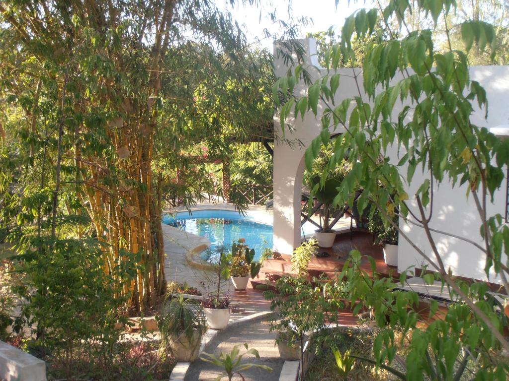基利菲Tropical Garden House的一个带游泳池和树木的花园