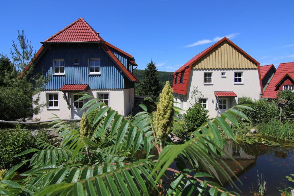 韦尼格罗德哈斯瑟罗德尔假日公园的池塘旁一排有红色屋顶的房屋