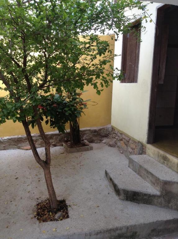 伦索伊斯Casa Repousar的一座小树,位于带楼梯的建筑旁边