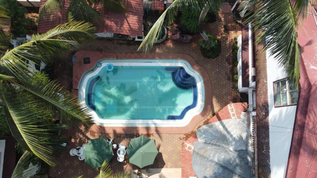 卡兰古特Richita resort的棕榈树环绕的游泳池的俯视图