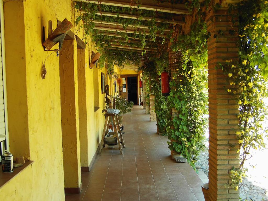 AldeaquemadaHotel Rural La Cimbarra的建筑物墙上有常春藤的空走廊