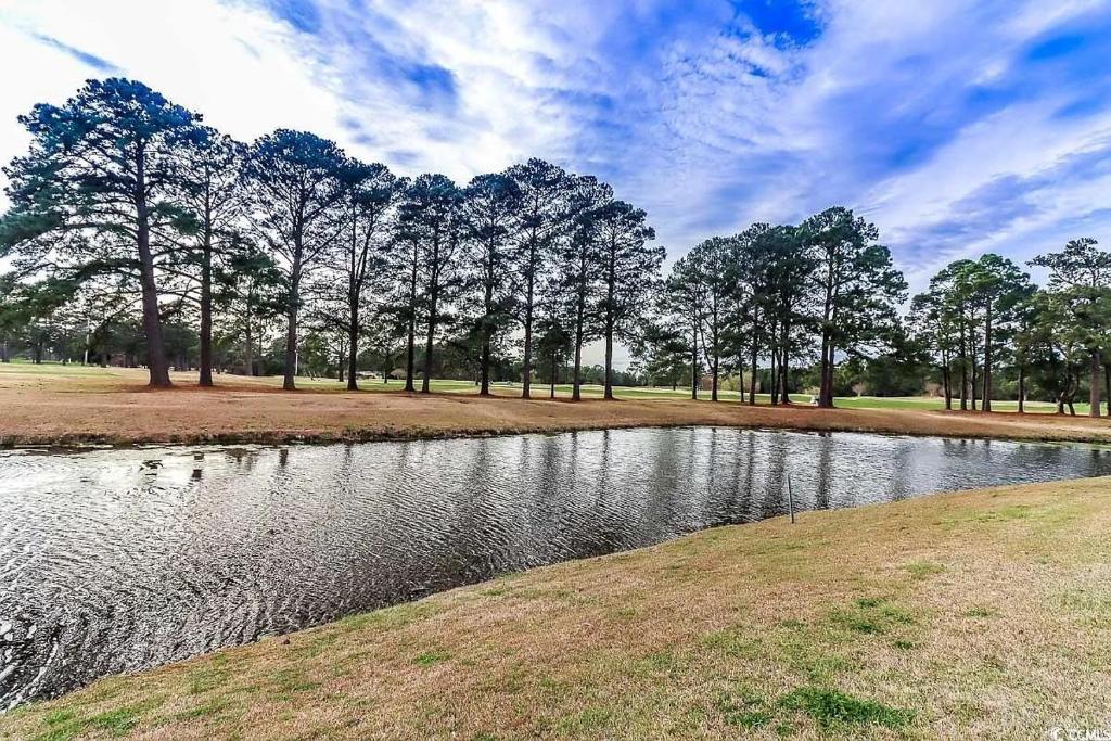 默特尔比奇Beautiful 1500 s f 3 Bd - 2 Ba condo overlooking stream and golf course的树下田地的池塘