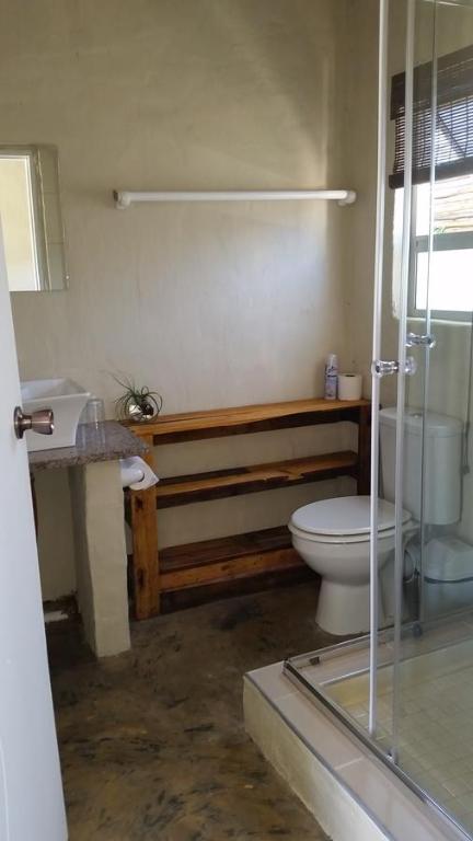 索德瓦纳湾Occi Lodge的一间带卫生间和玻璃淋浴间的浴室