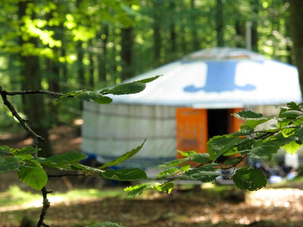赫尔STF Nyrups Naturhotell的树林里的一个白色和橙色的帐篷