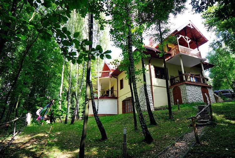 卡齐米日-多尔尼卡斯科瓦度假旅馆的树林中间的房子