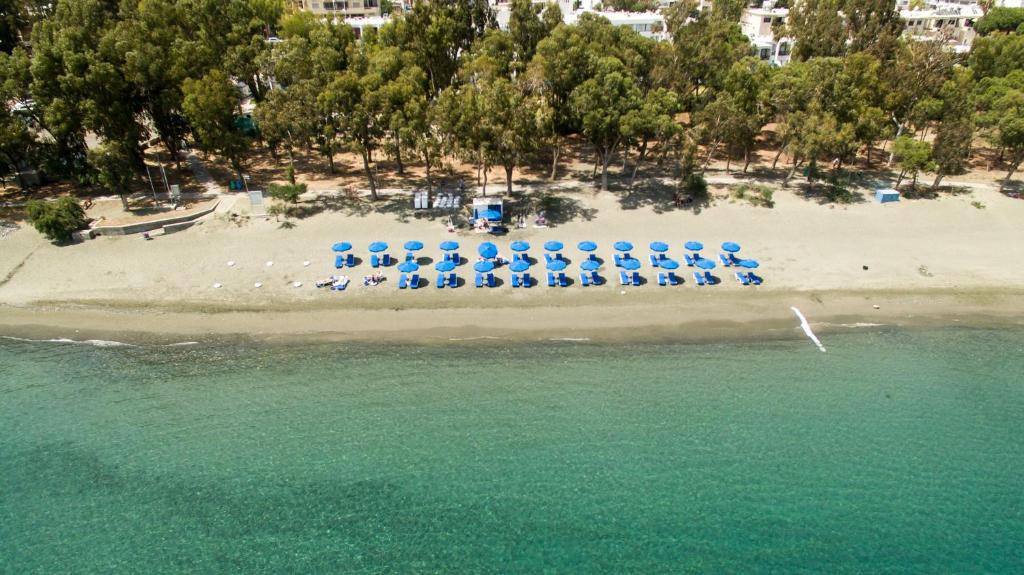 利马索尔公园海滩酒店的海滩上带蓝伞和椅子的海滩