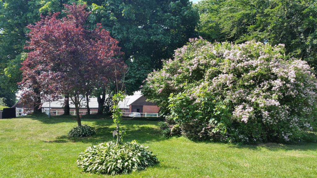 比伦德Billund Farm Holiday的两棵开花的树,在院子里,有房子在后面