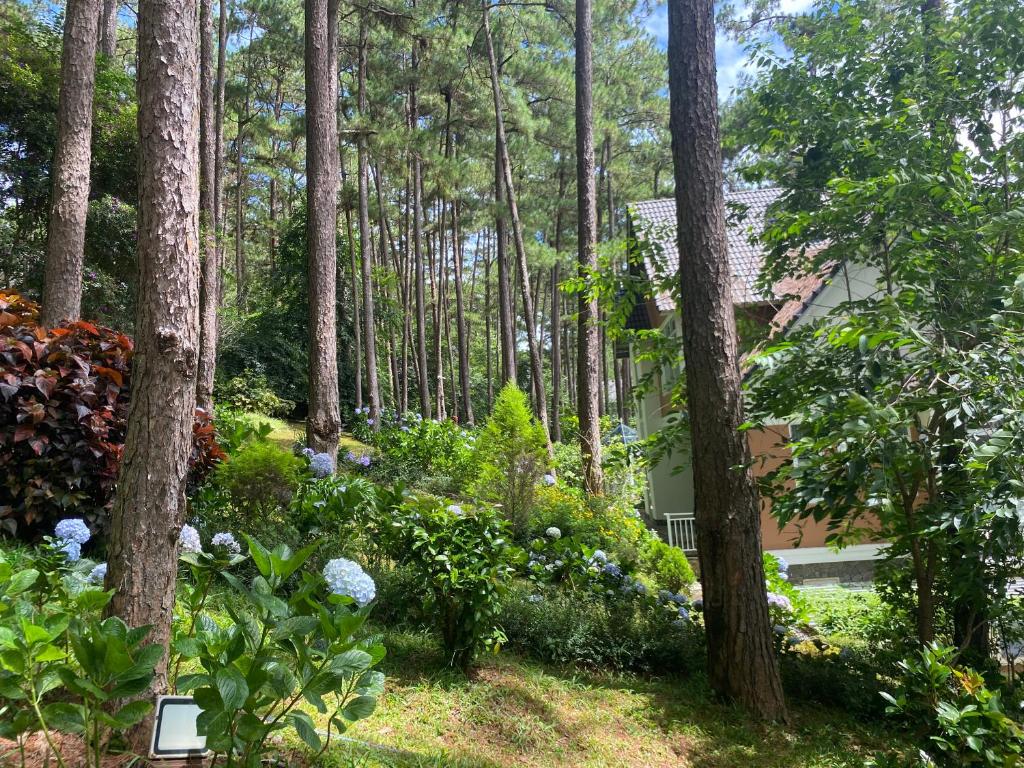 大叻Lan Anh Villas Resort的树林里有树木和鲜花的花园