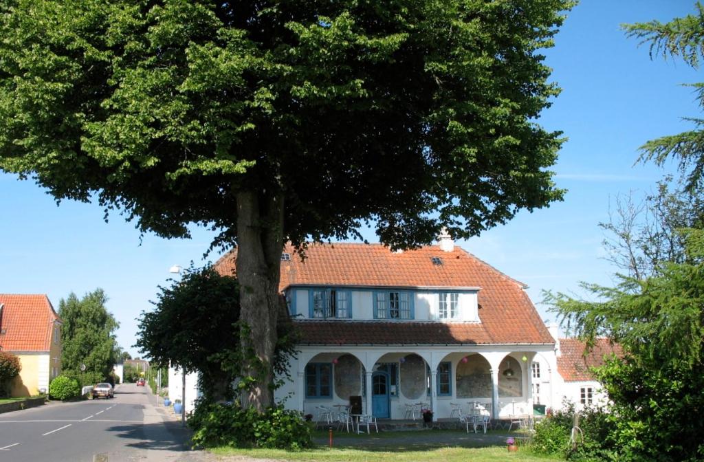 斯文堡Thurø Kro B&B的前面有一棵树的房子