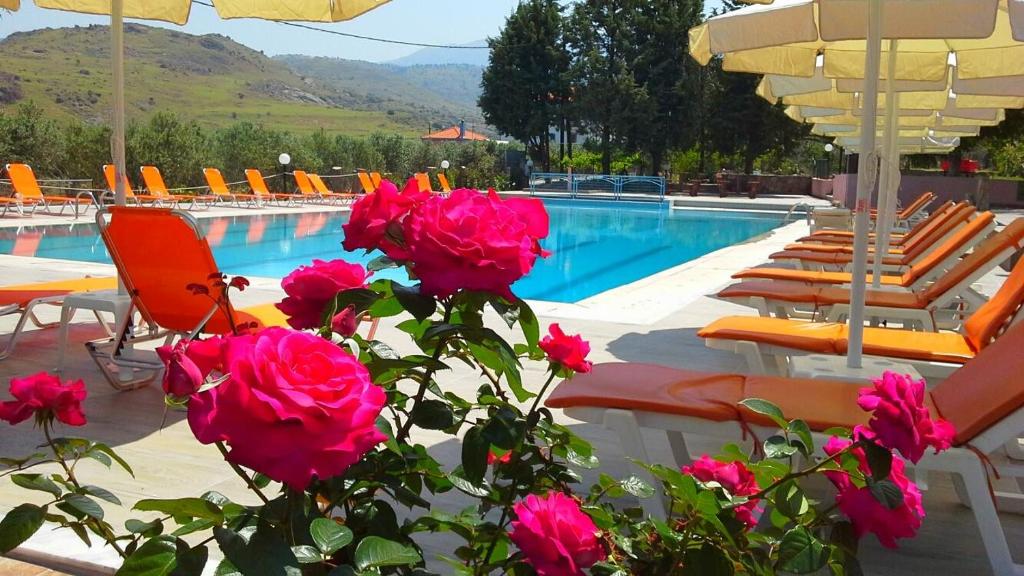 米西姆纳Hotel Marilena的游泳池前设有椅子和粉红色玫瑰