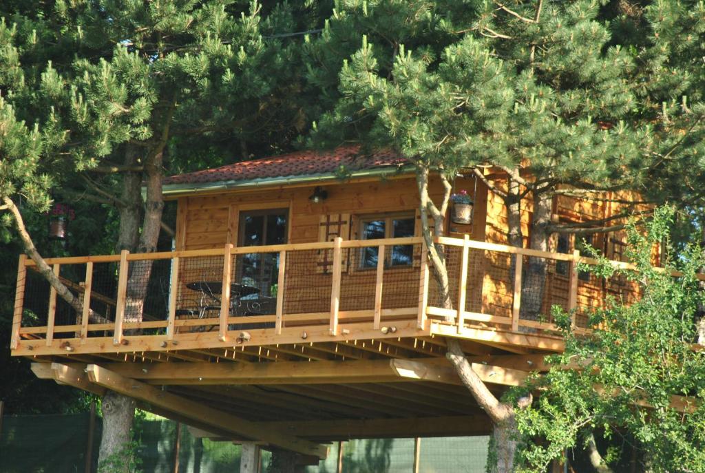 Chaussan艾图纳尔贝沏山林小屋的树屋,树上有一个甲板