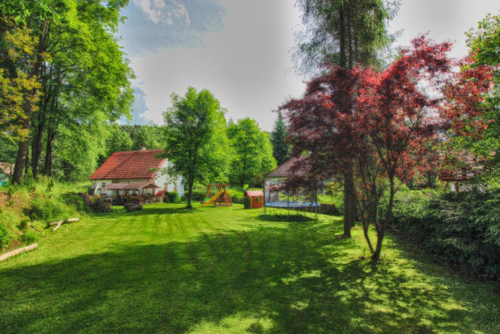 Kladenské Rovné奥瑞兹之家山林小屋的绿意盎然的院子,有房子和树木
