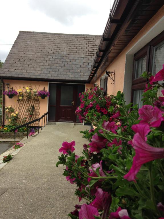 克利夫登Eriu Lodge的前面有粉红色花的房子
