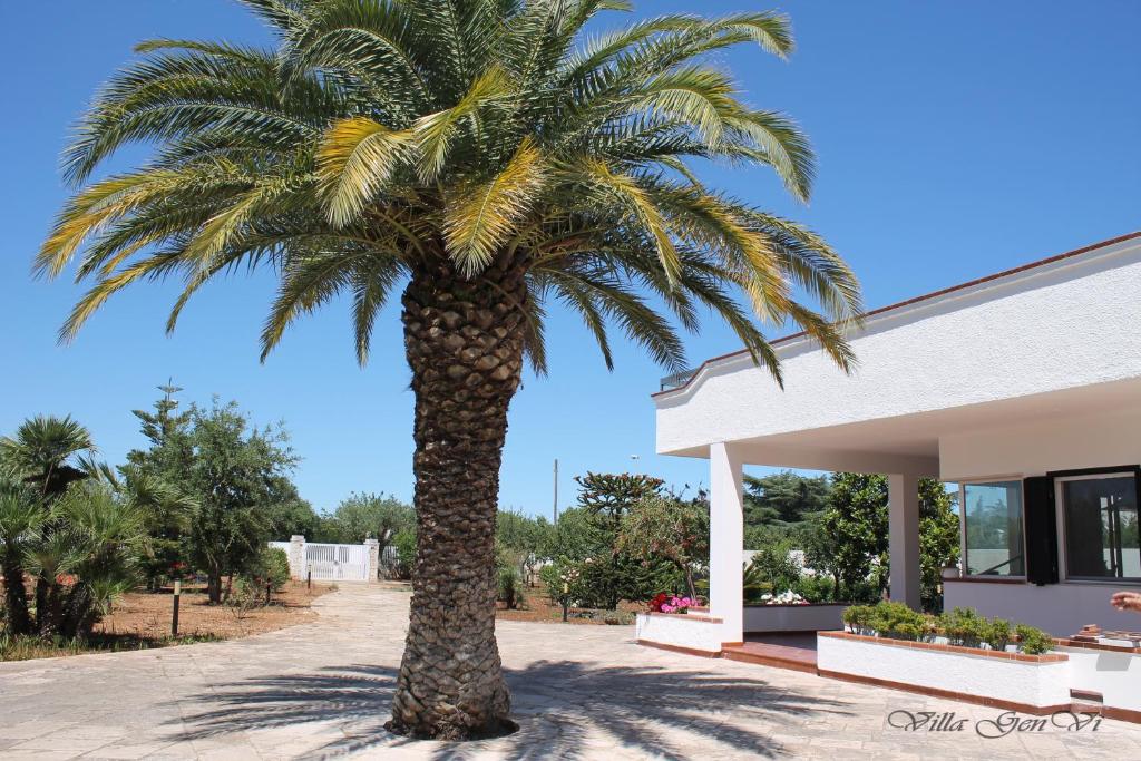滨海波利尼亚诺Villa GenVì - casa vacanza的一座建筑前的棕榈树