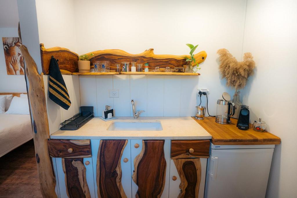 埃拉特独特套房山林小屋的厨房或小厨房