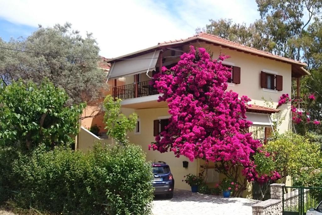 尼基亚娜Grammatoula的旁边是一座粉红色花卉的房子
