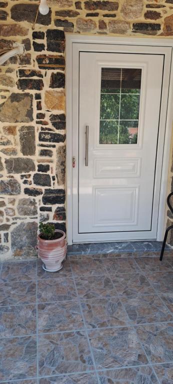 PanayíaΠέτρινο Αλώνι的一道带窗户的白色门和盆栽植物