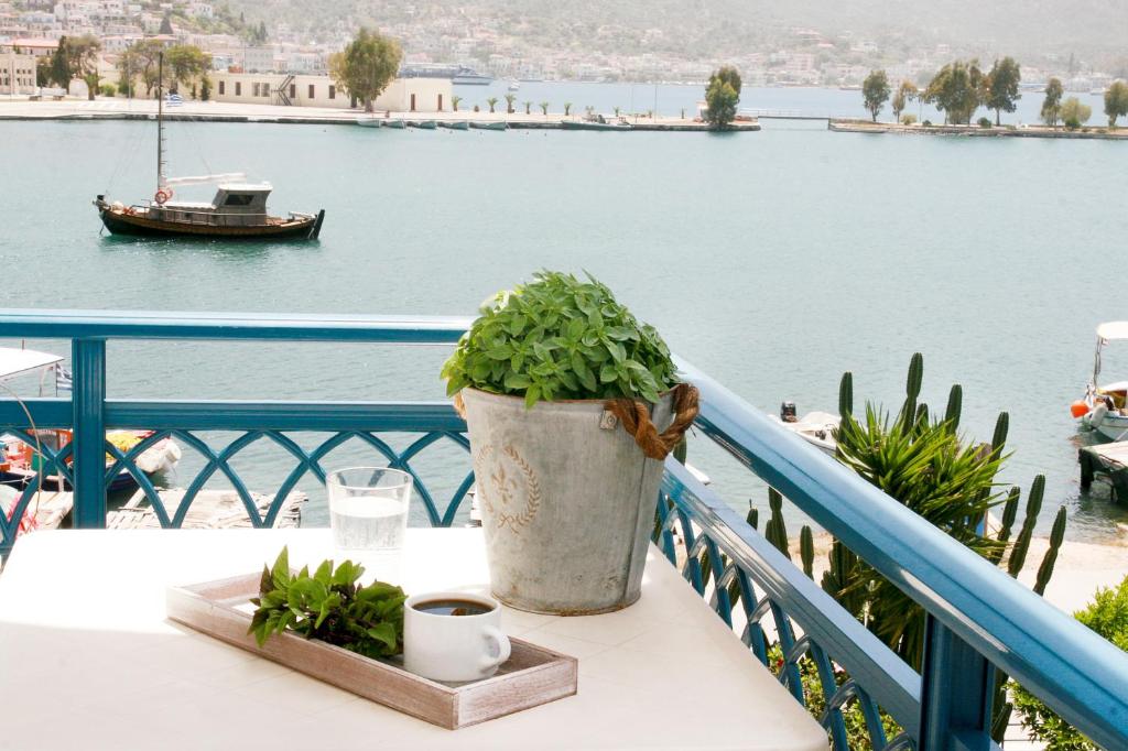 波罗斯多洛辛诺斯公寓的坐在阳台上桌子上的盆子里的植物