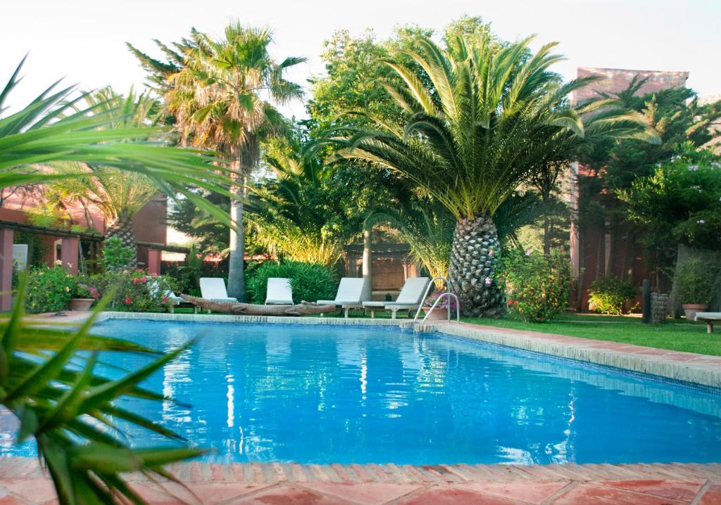 塔里法百分百乐趣酒店的一个带棕榈树和躺椅的游泳池